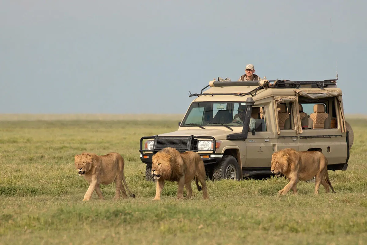 9-day Pemba night drive in Tanzania with mountain climbing kilimanjaro
