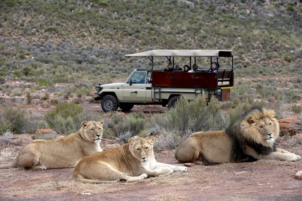 8-day Mozambique Gorongosa holidays On Mozambique Safaris in Gorongosa National Park