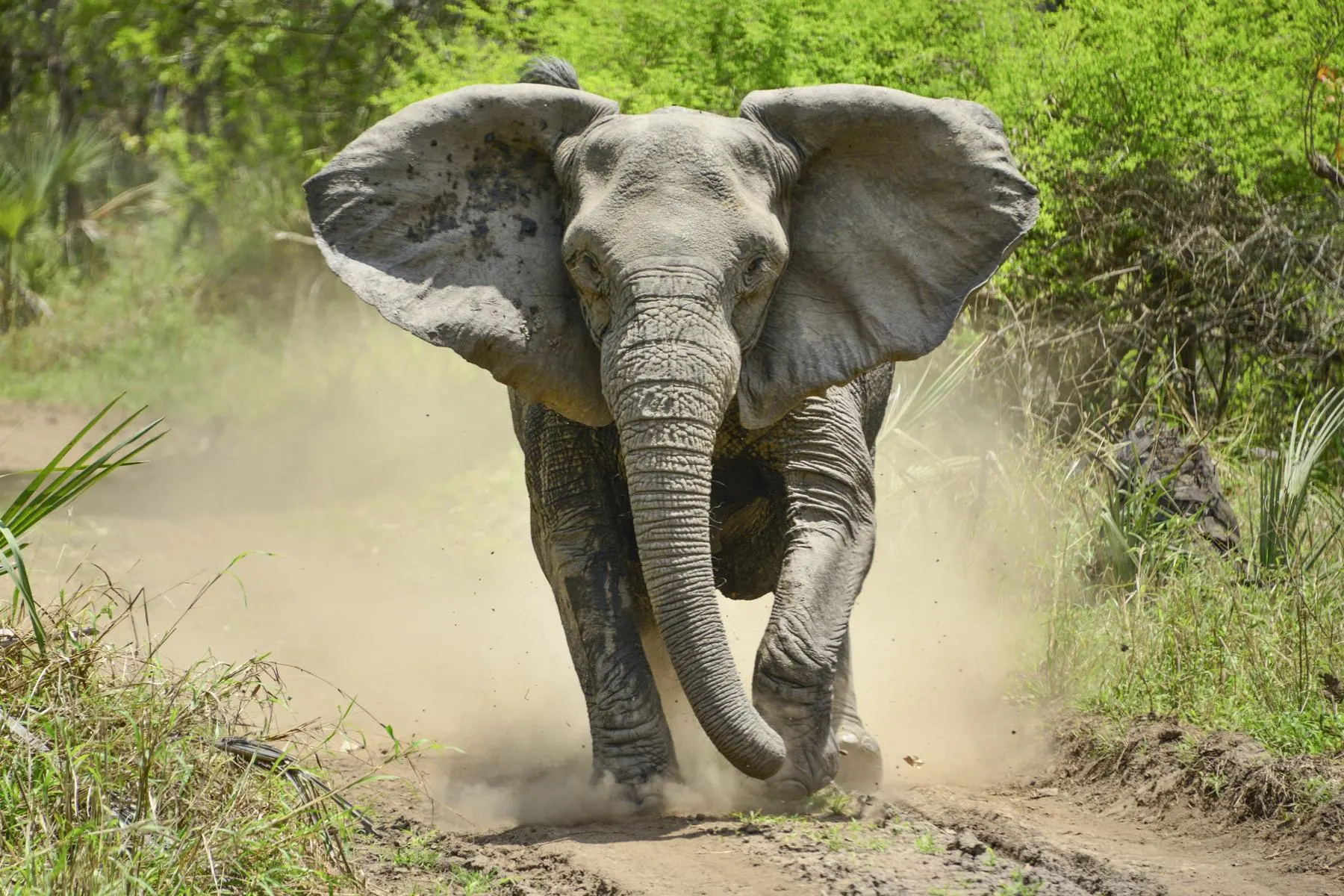 7-day game drive Tofo Mozambique Tour safaris in Bazaruto Archipelago
