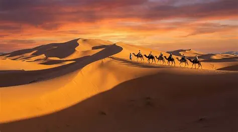 8-day Sahara Desert safaris focus across Sahara Desert
