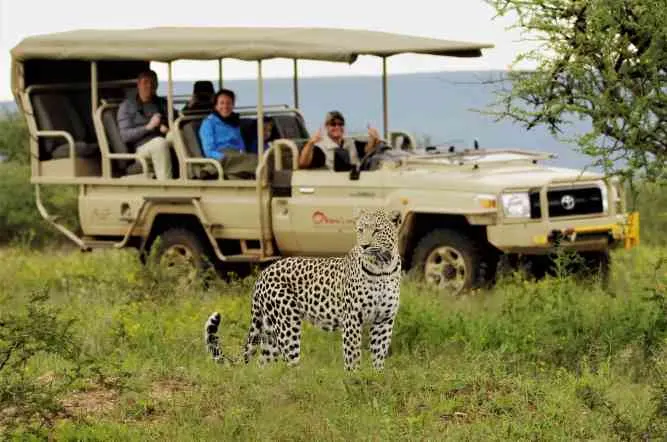 6-day big five safari holiday South Africa focus across Sabi Sand Game Reserve