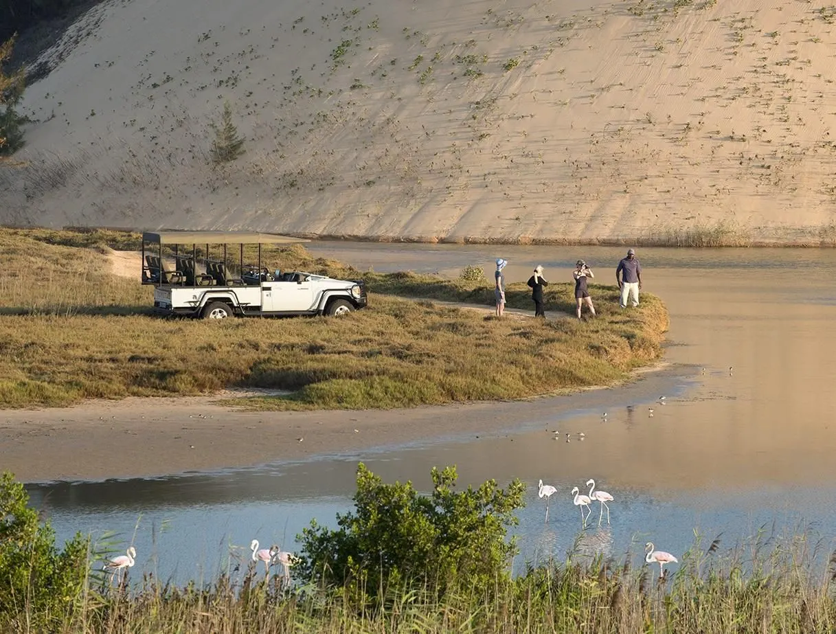 6-day Tofo boat safari focus across Mozambique Safaris in Gorongosa National Park