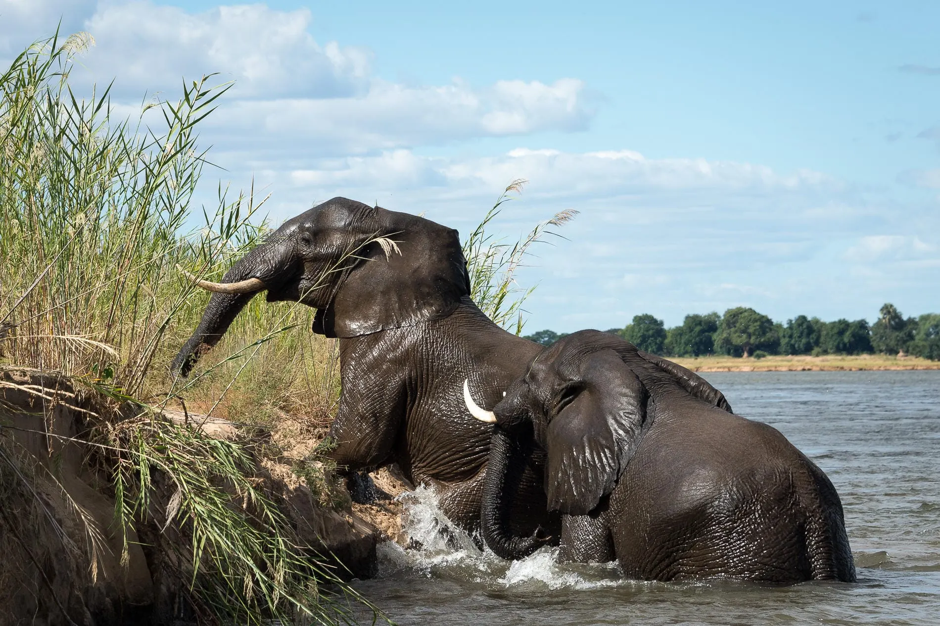 6-day Lake Kariba safari focus across Zimbabwe Guided time in Hwange National Park
