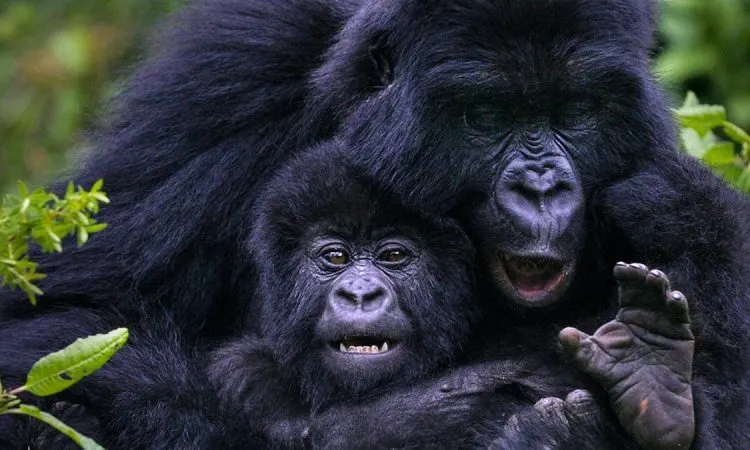 Rwanda