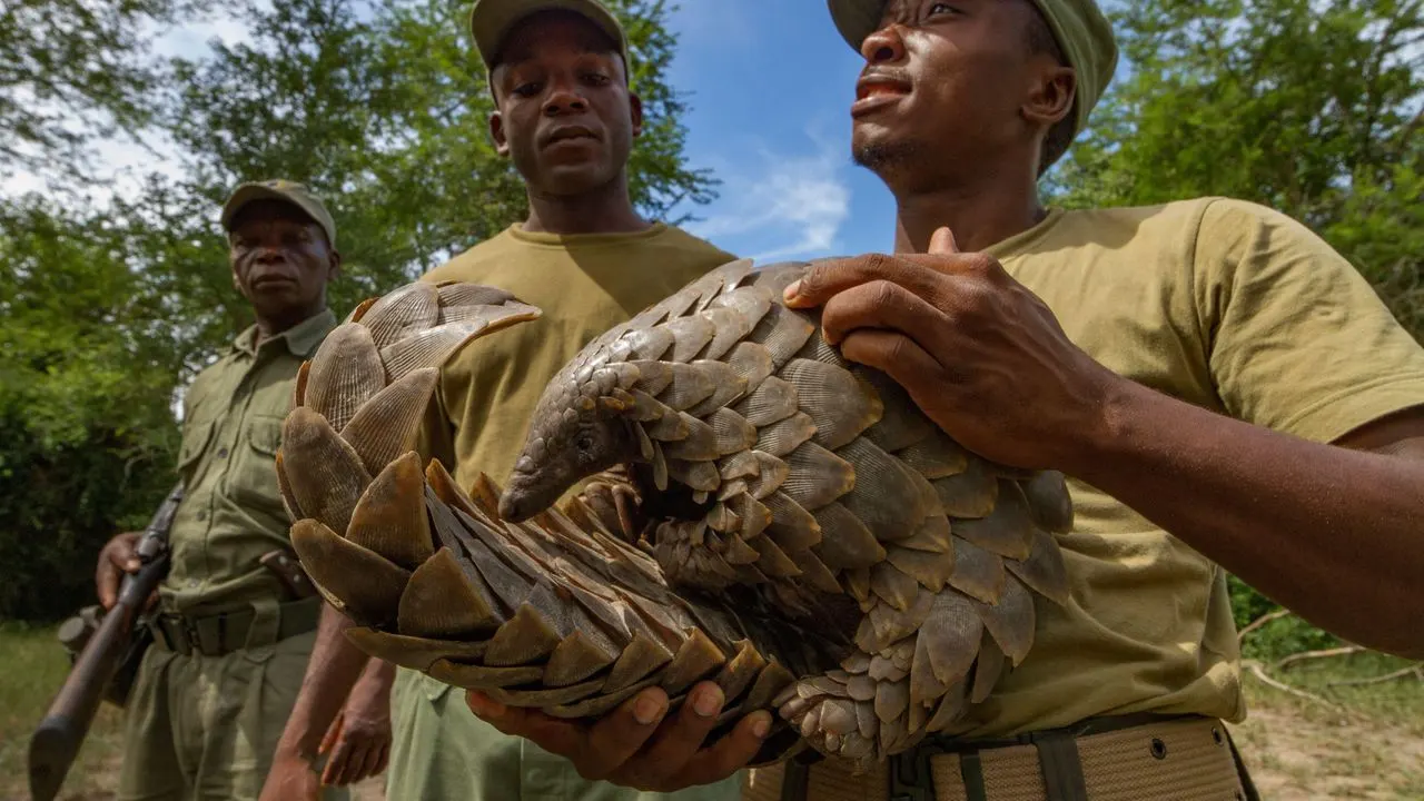 9-day Benguerra Island birding safari Mozambique in Gorongosa National Park
