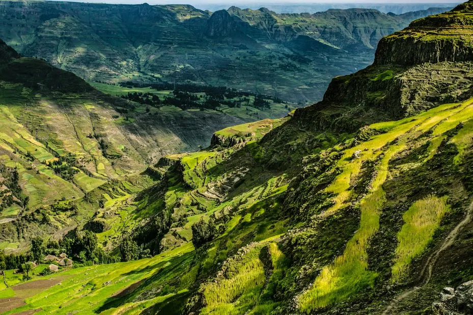 9-day Addis Ababa lion safari Ethiopia focus across Bale Mountains National Park