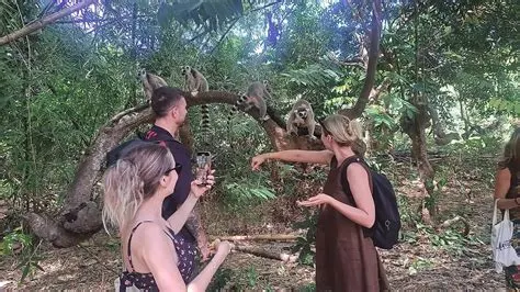9-day Ifaty package On Luxury Madagascar Safari Guided time in Avenue of the Baobabs