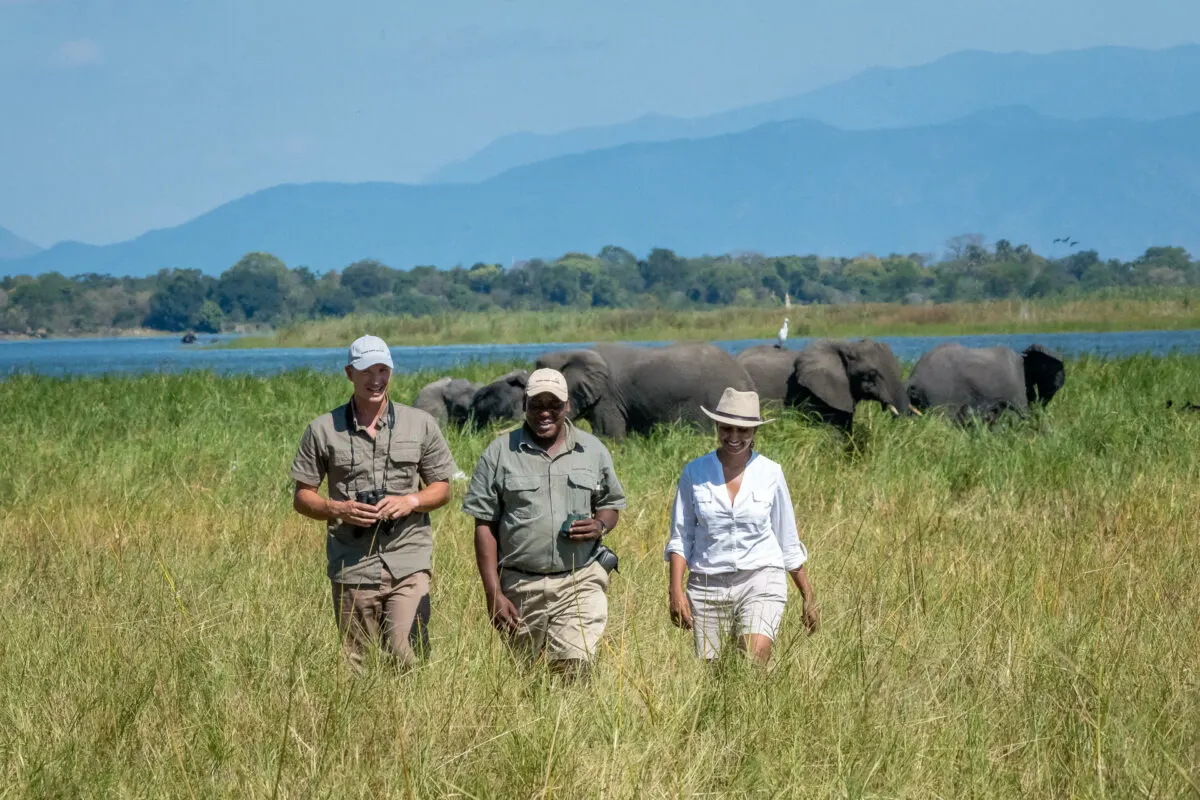 6-day Malawi Safaris Majete price in Nyika National Park
