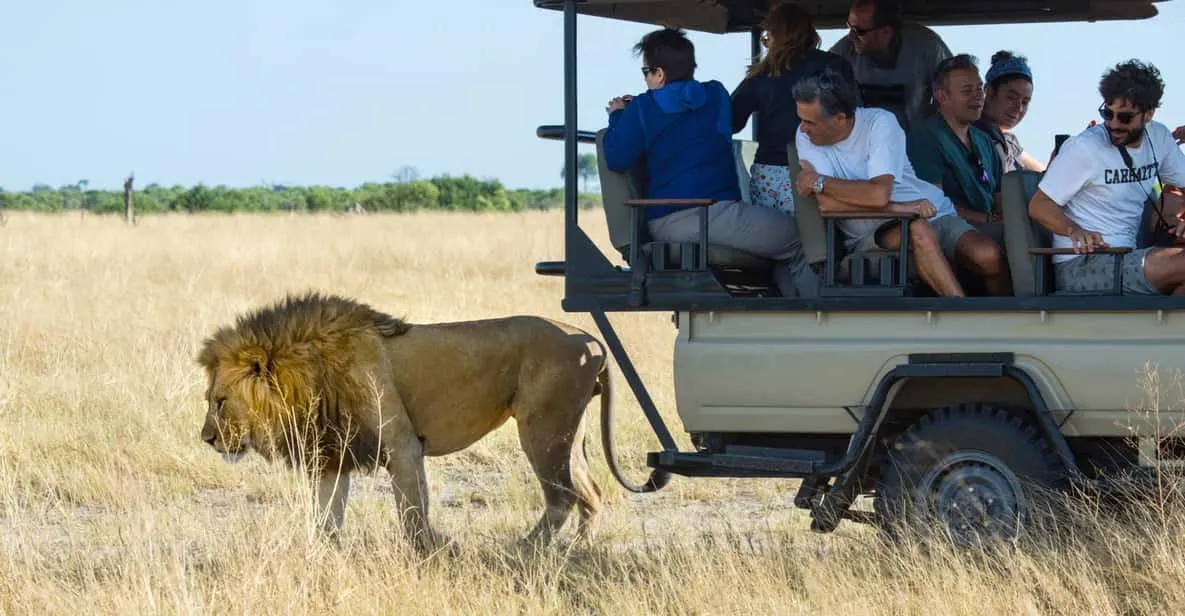 9-day lion safari Maun Botswana  in Makgadikgadi Pans