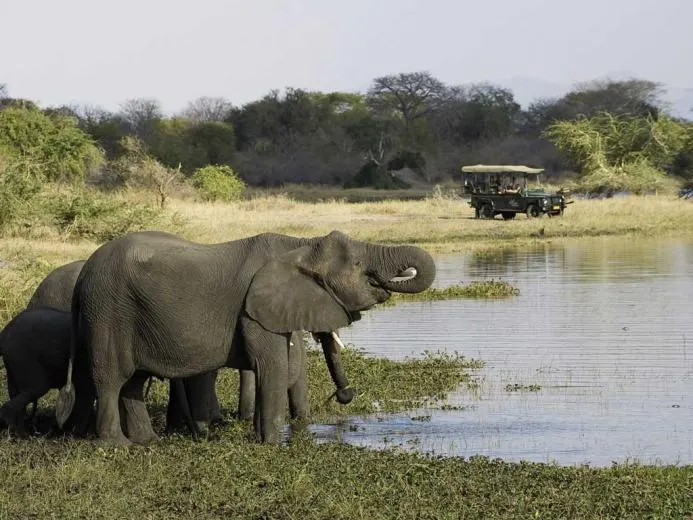 8-day Malawi Lake Malawi Safari from usa focus across Nyika National Park