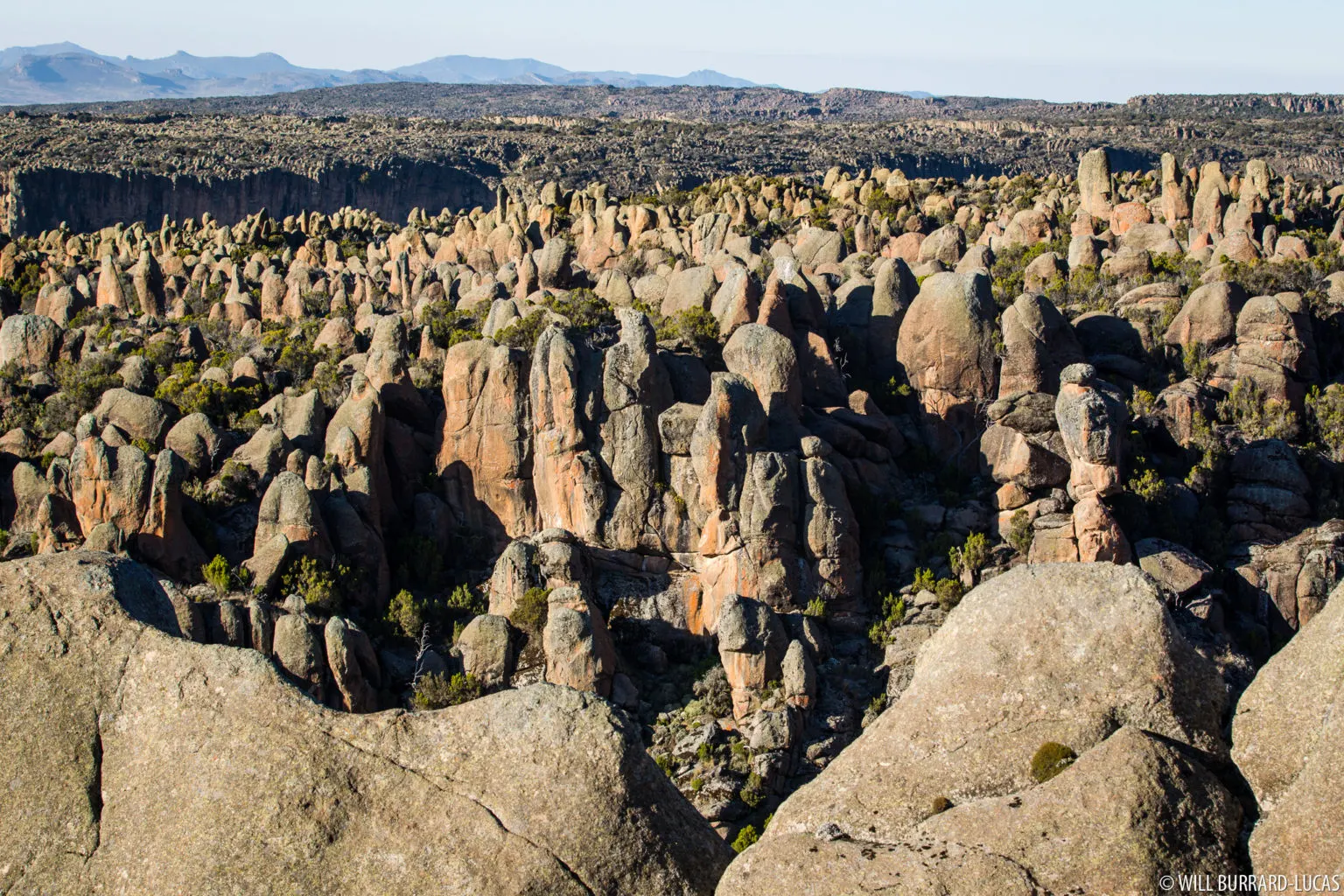 7-day Ethiopia Safaris Axum trips focus across  Bale Mountains National Park