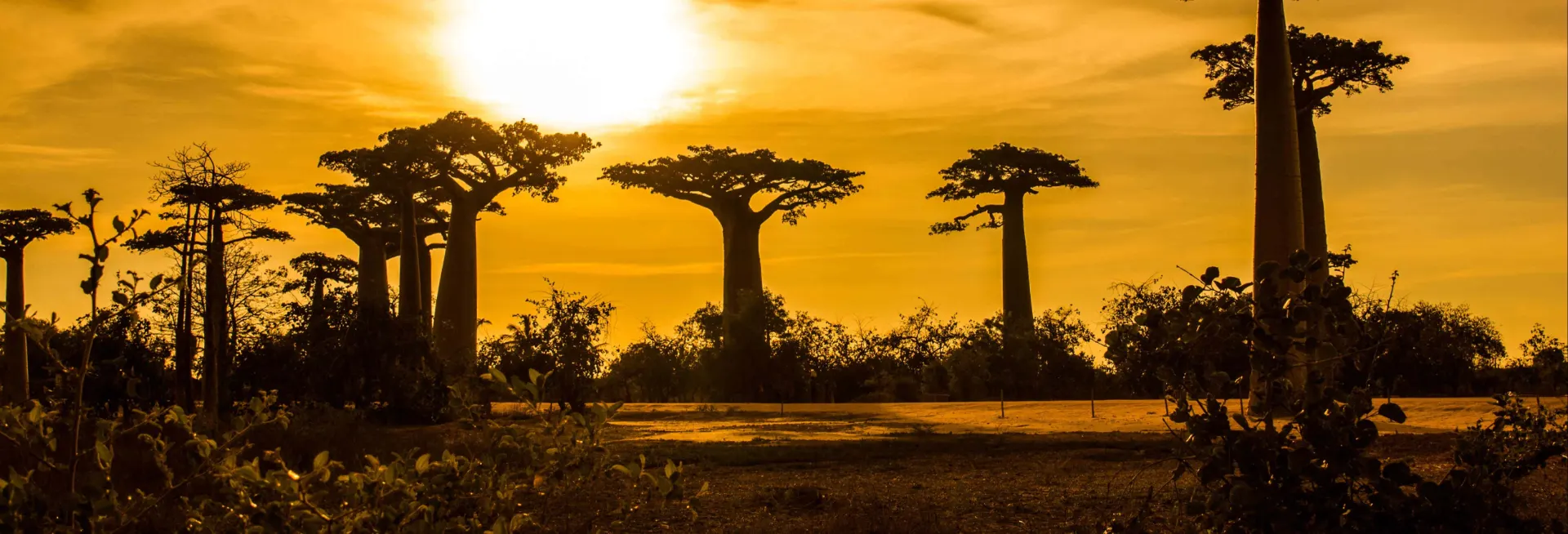 6-day Isalo safari On Budget Madagascar Safari Tours  
