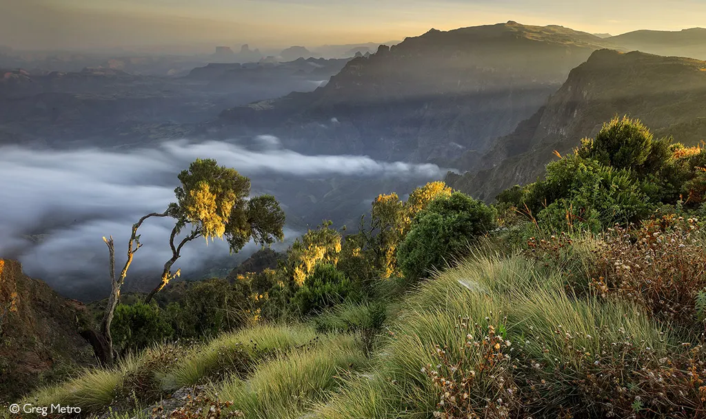 10-day Harar safari focus across Simien Mountains National Park On Ethiopia Safaris