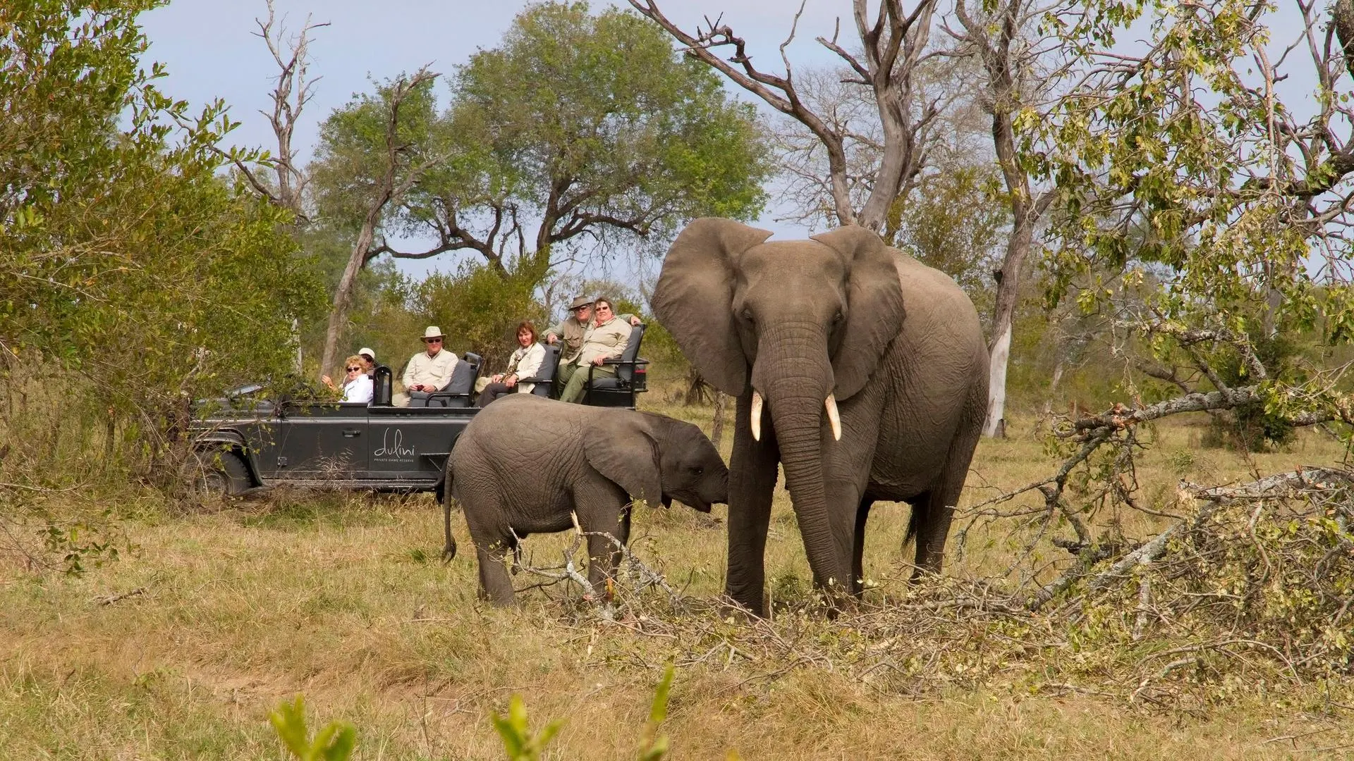 7-day Luxury South Africa Safari focus across  Hluhluwe-iMfolozi Park