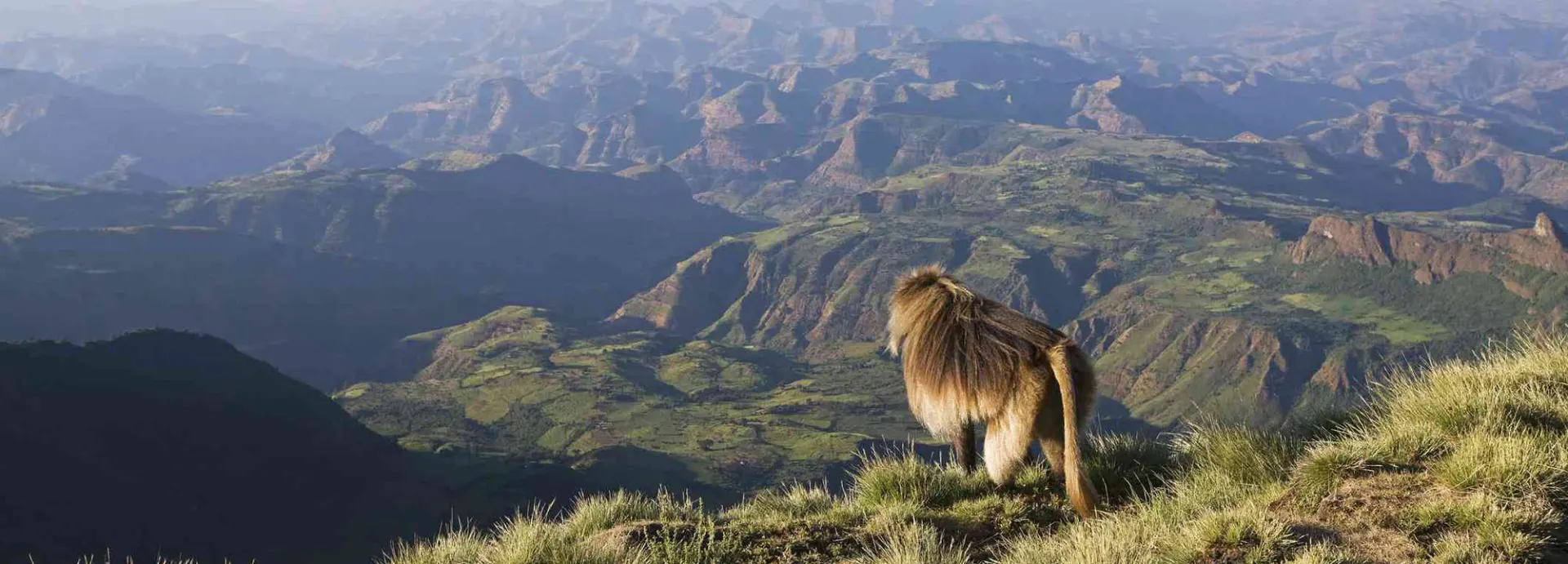 1-day Axum game drive focus across  Simien Mountains National Park On Safari Ethiopia