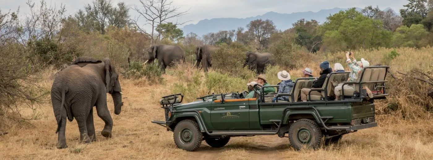 6-day Phinda game drive focus across South Africa Safaris Guided time in Hluhluwe-iMfolozi Park