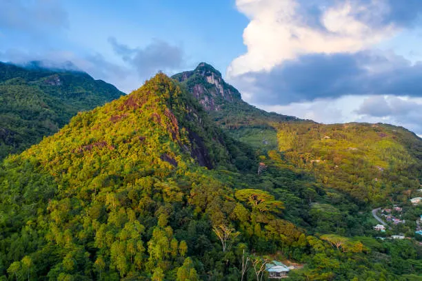 10-day Seychelles tour focus across  Morne Seychellois National Park