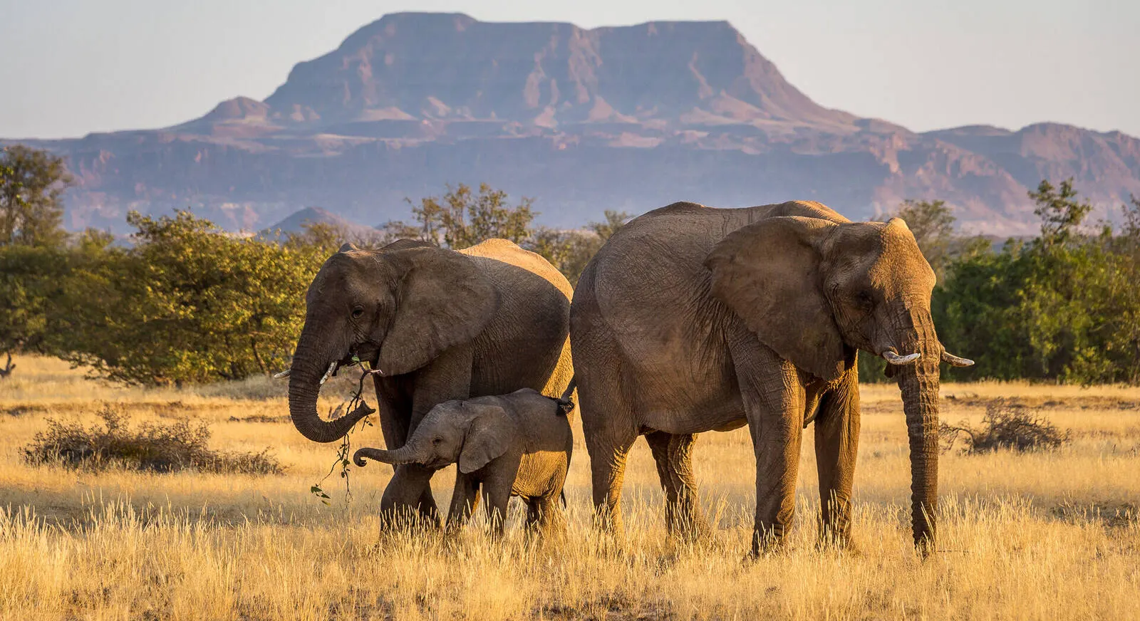 7-day Namibia Twyfelfontein from usa focus  in Namib-Naukluft Park On African Safari Namibia