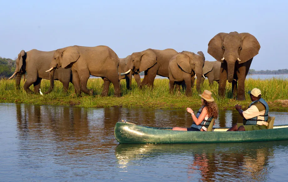 9-day leopard safari Bangweulu Wetlands Zambia Safaris in Kafue National Park