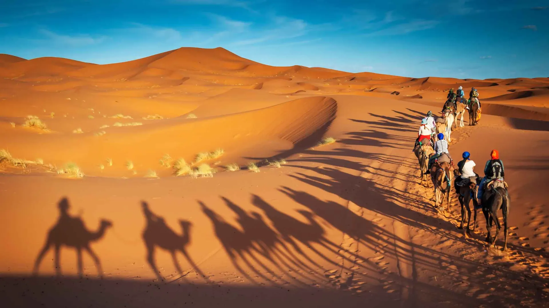 8-day Luxury safari Sahara Desert Morocco  