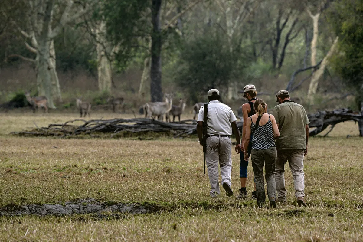 7-day canoe safari Pemba Mozambique Safari Tours in Quirimbas National Park