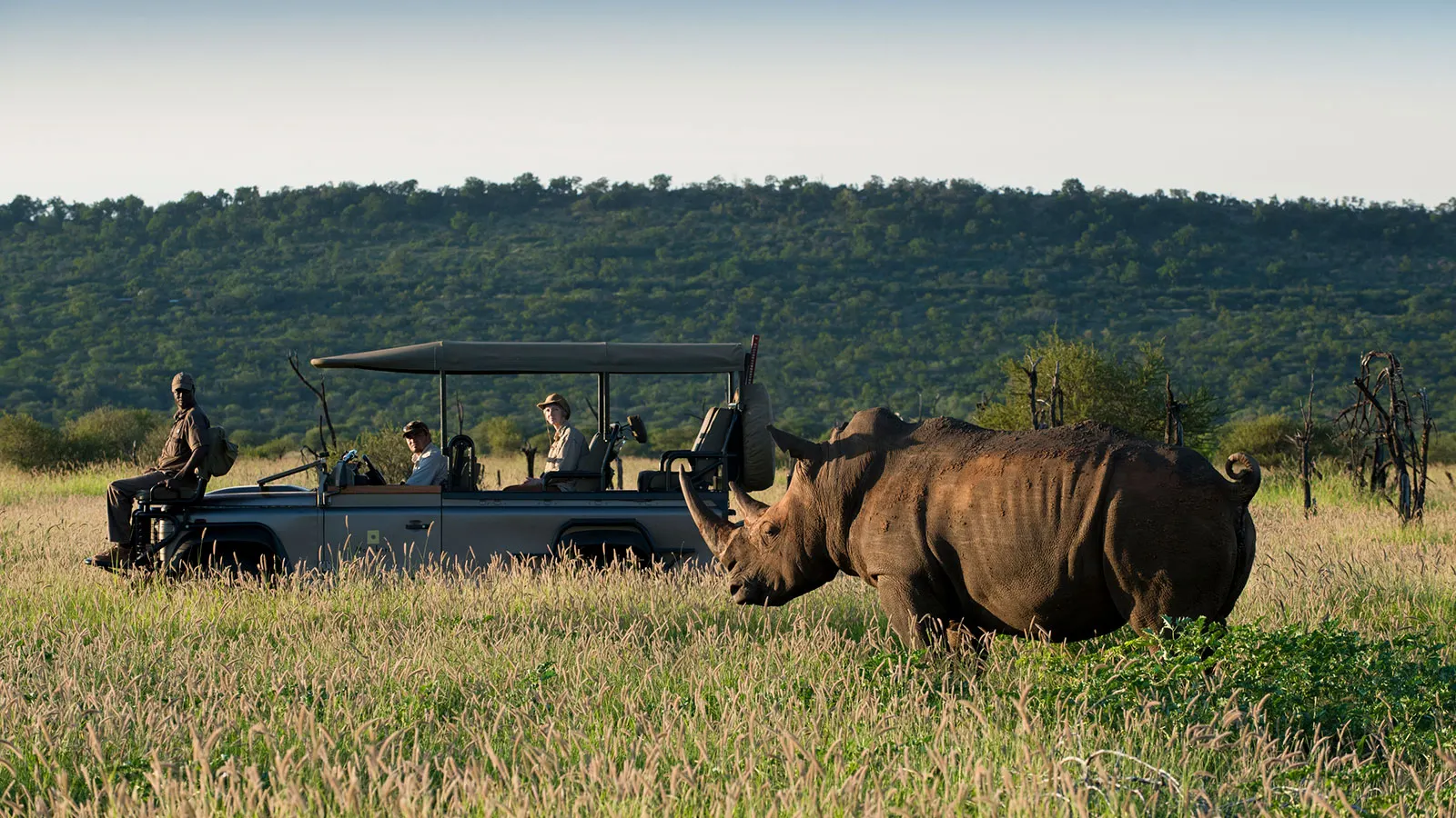 10-day beach and safari Madikwe South Africa focus across Sabi Sand Game Reserve