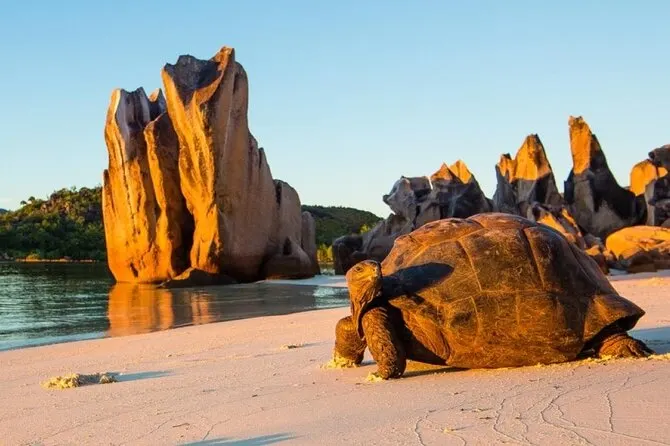 5-day  safari Praslin Seychelles focus across Seychelles Guided time in Curieuse Island