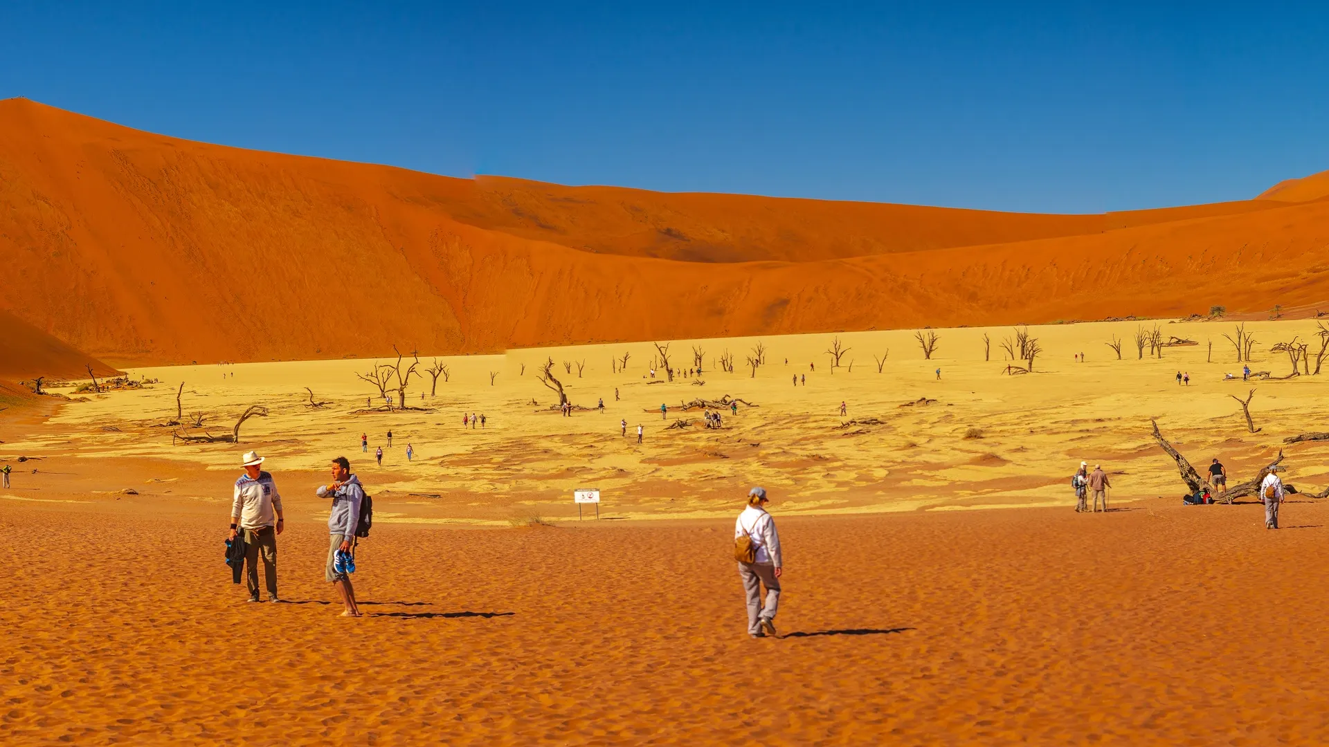 10-day Namibia Namib Desert packages in Namib-Naukluft Park