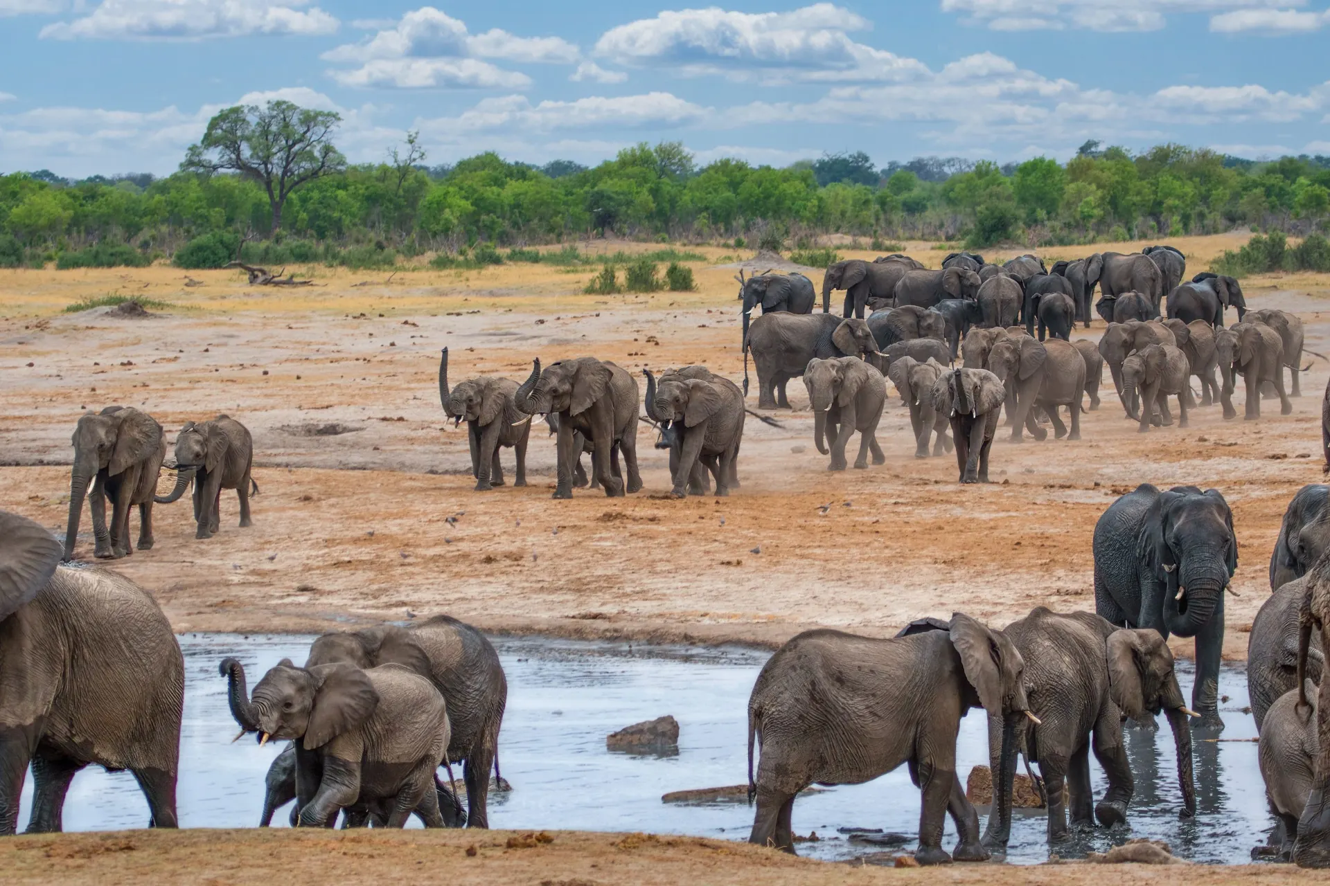10-day Harare Zimbabwe Tour Safaris Including Mana Pools National Park