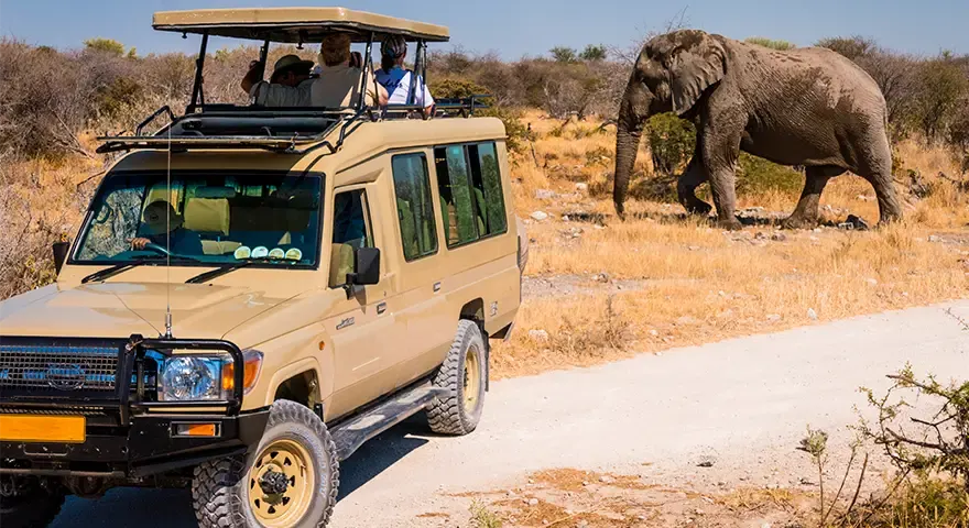 8-day Swakopmund itineraries focus in Etosha National Park On African Safari Namibia