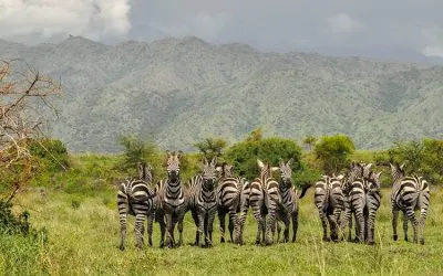 6-day Lalibela trips focus across Ethiopia Guided time in Danakil Depression On Ethiopia Safaris