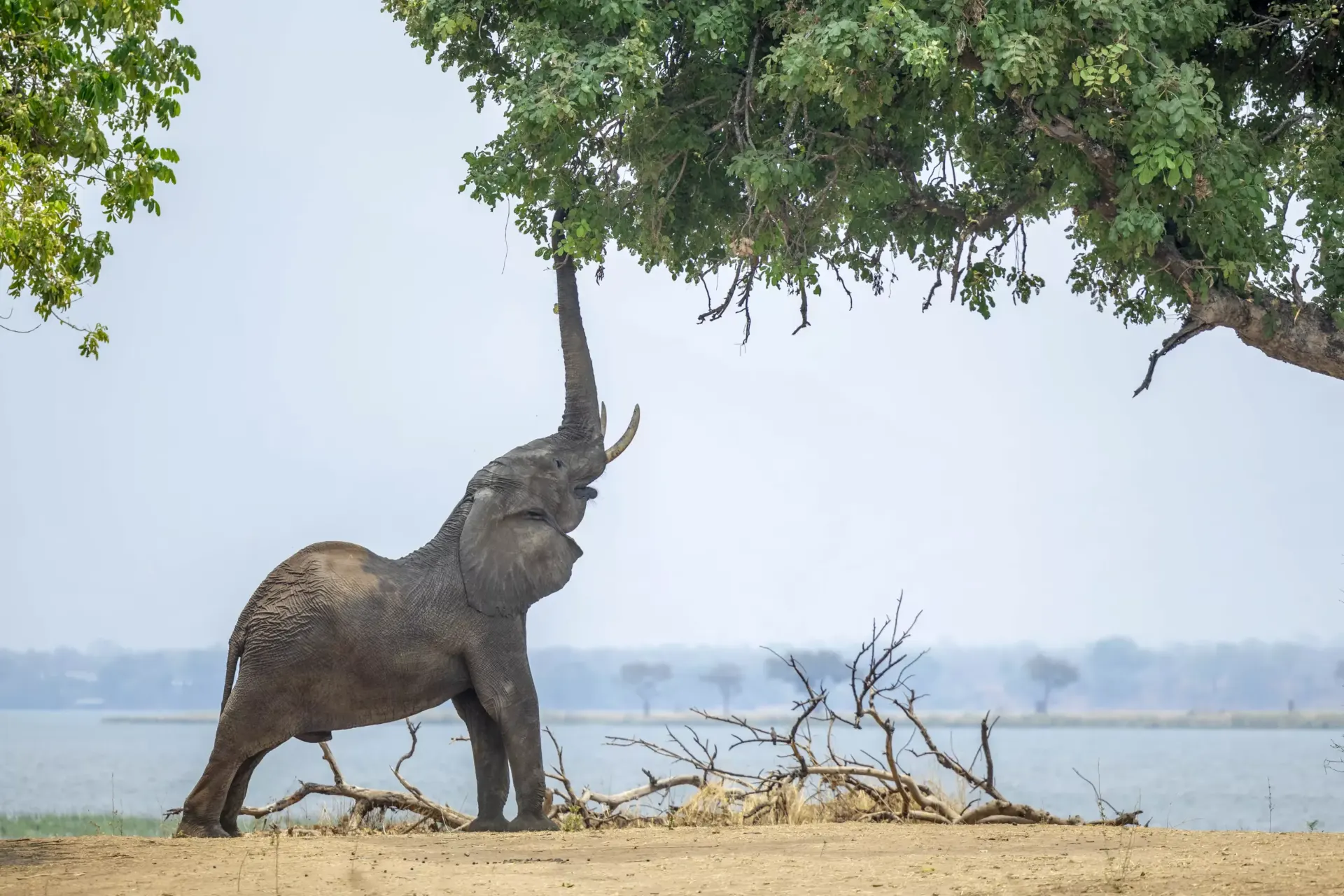 9-day Hwange Zimbabwe Safari Tours and Guided time in Hwange National Park