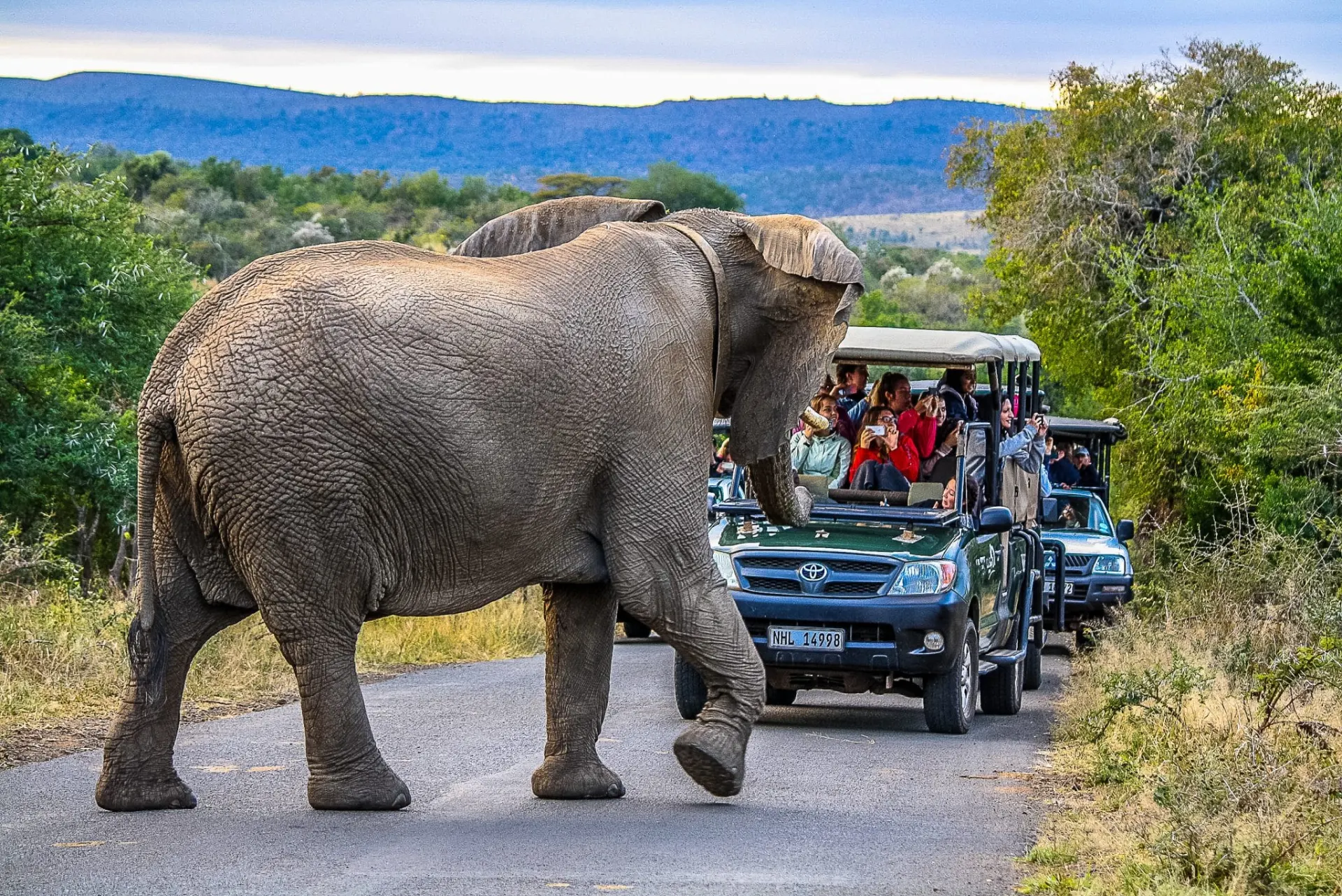 9-day Madikwe safaris focus across South Africa Guided time in Kruger National Park