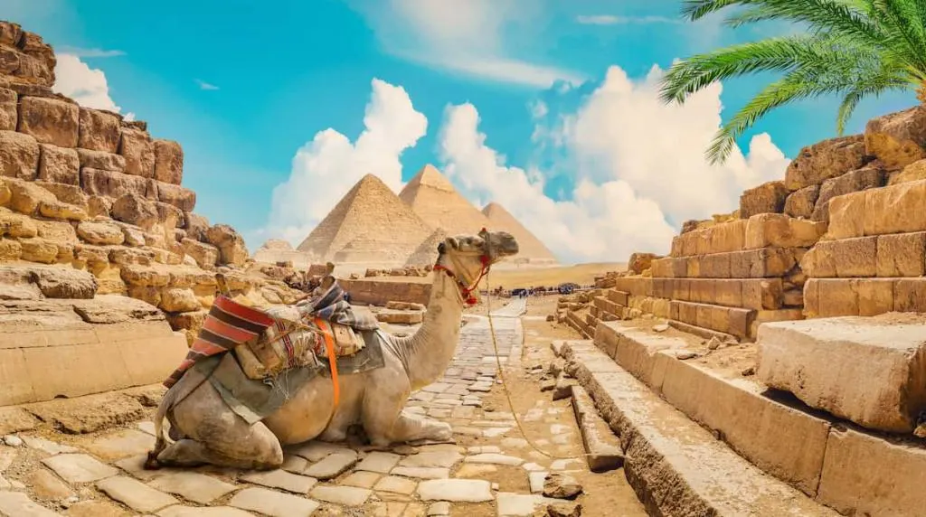 9-day custom Egypt tours in Red Sea coast