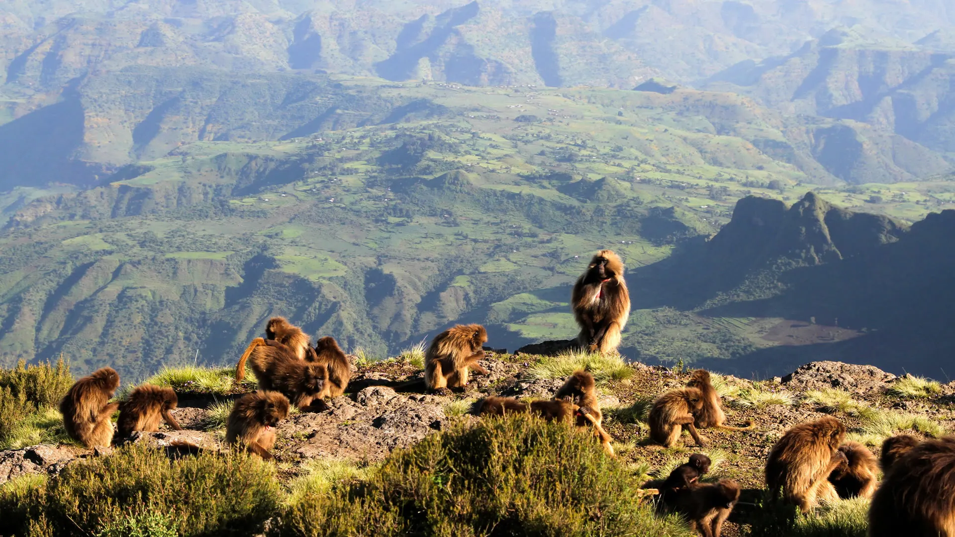 9-day Ethiopia Safari Addis Ababa from usa focus across Simien Mountains National Park