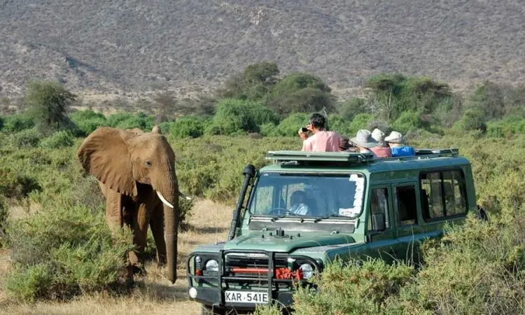 7-day Kenya Safaris Lamu itinerary in Kenya  
