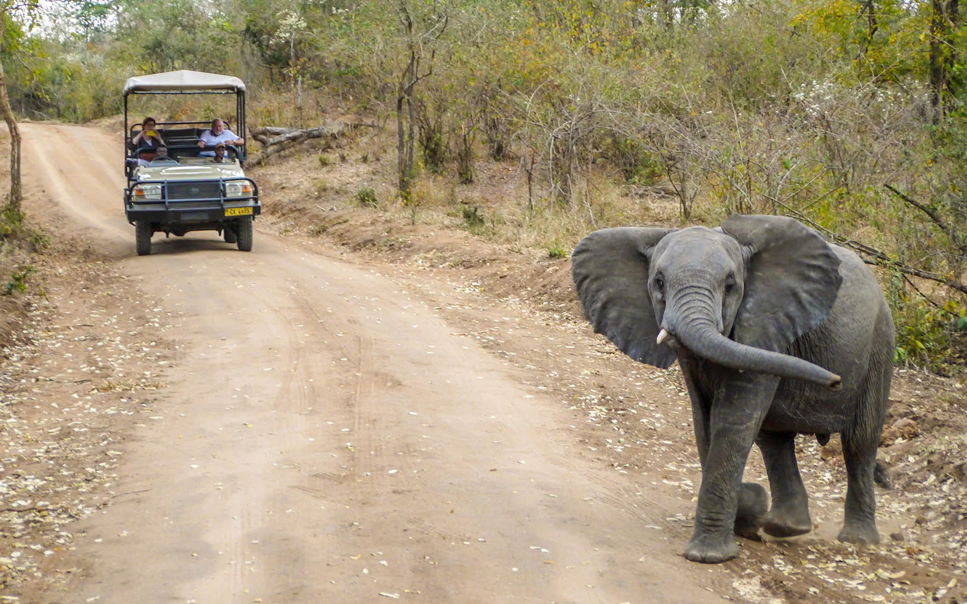 7-day Malawi Nyika Plateau itineraries focus across Majete Wildlife Reserve On Malawi Safaris