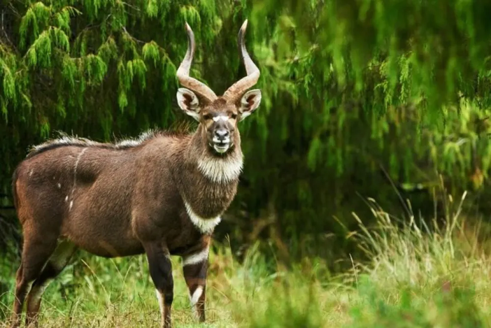 9-day Addis Ababa trips focus across Ethiopia Safaris Guided time in Omo Valley