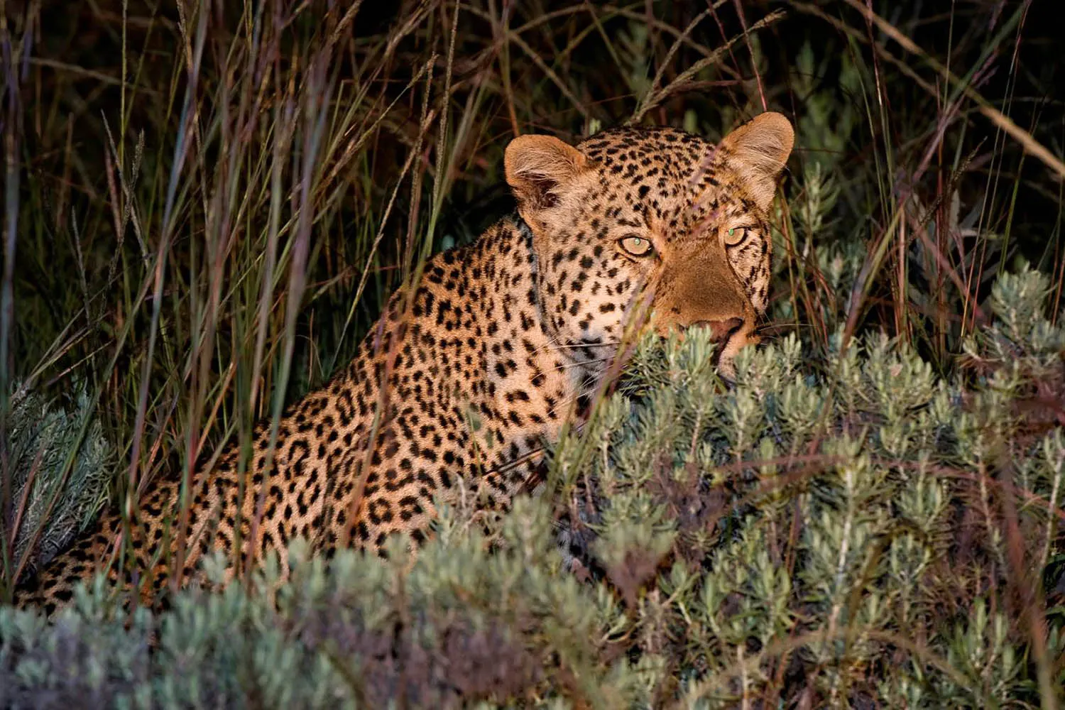 9-day Lilongwe trip focus across Malawi Guided time in Lake Malawi Safaris