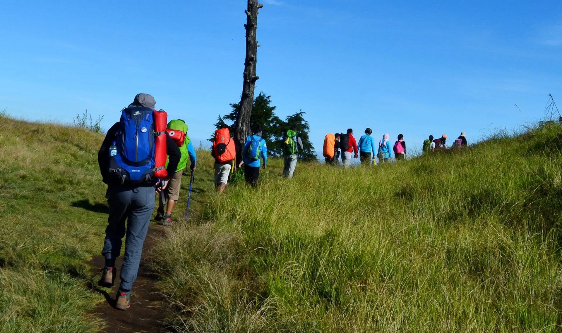 6-day DR Congo Safari Kahuzi-Biega tours focus across  Kahuzi-Biega National Park