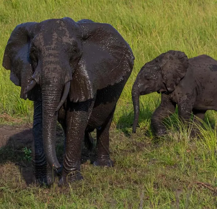 6-day Mozambique Tofo prices On Mozambique Safari Tours in Bazaruto Archipelago