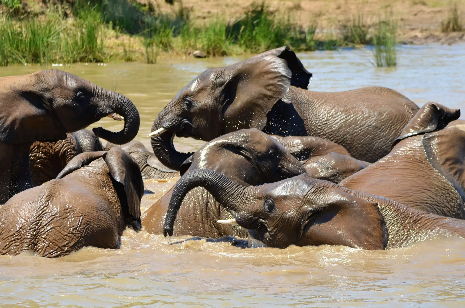 6-day Majete Malawi Safari Tours in Nyika National Park