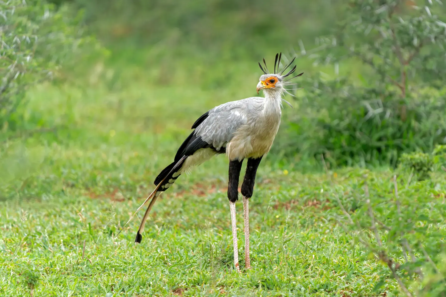 7-day Ethiopia Danakil Depression itinerary in Omo Valley On Ethiopia Safari Tours
