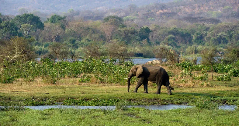 9-day Blantyre holiday On Malawi Safaris  in Lake Malawi