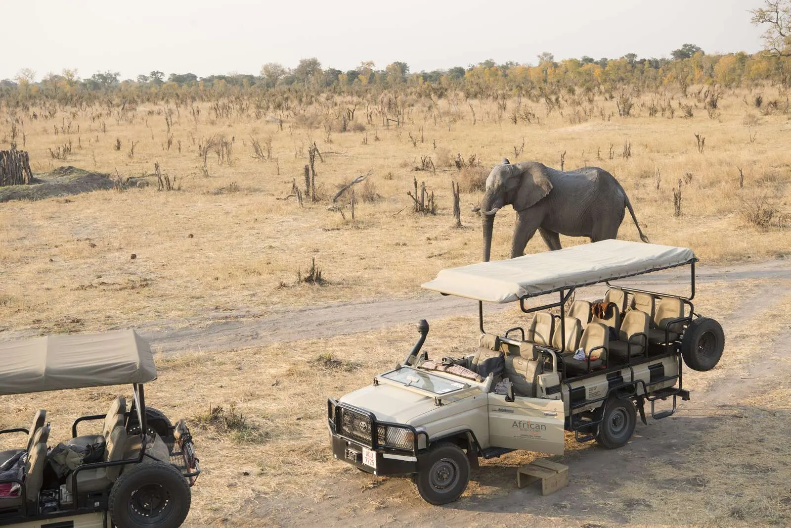10-day Zimbabwe Safari Harare package focus across Matobo Hills