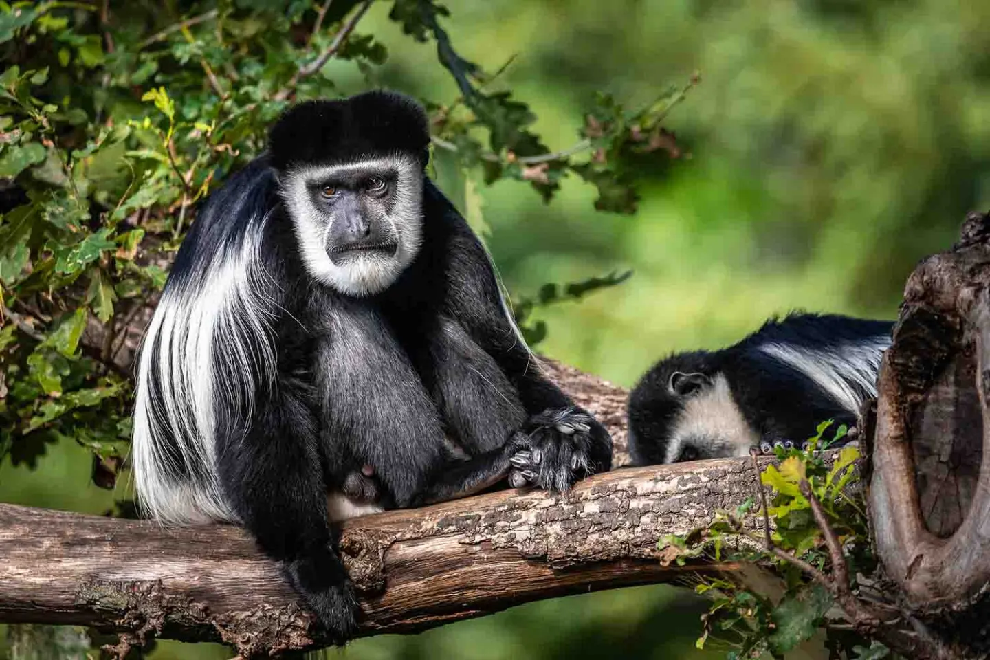 8-day Bale Mountains canoe safari Tour in Omo Valley On Best Ethiopia Safari