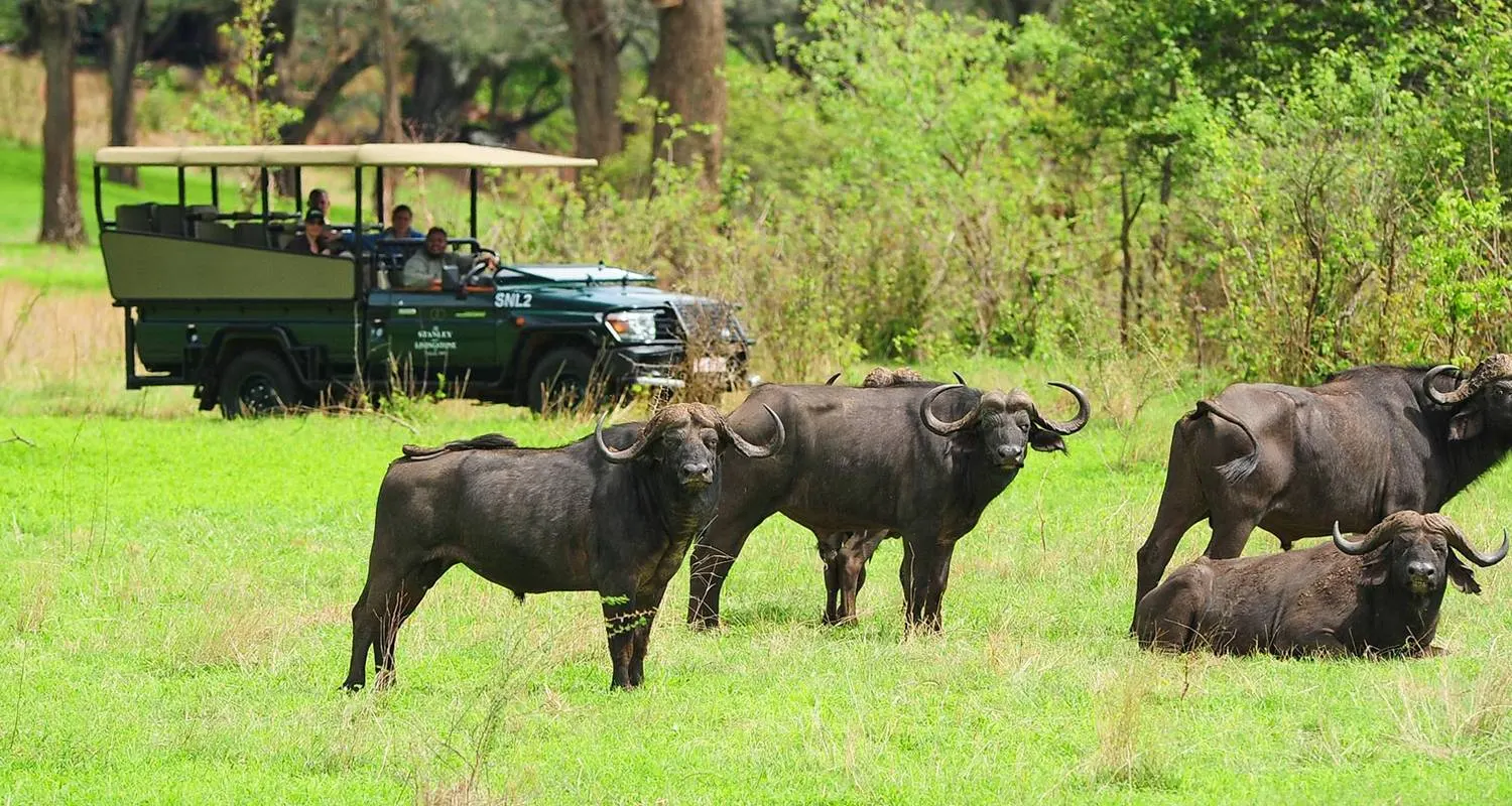 10-day night drive Mosi-oa-Tunya Zambia Safaris  in Lower Zambezi National Park