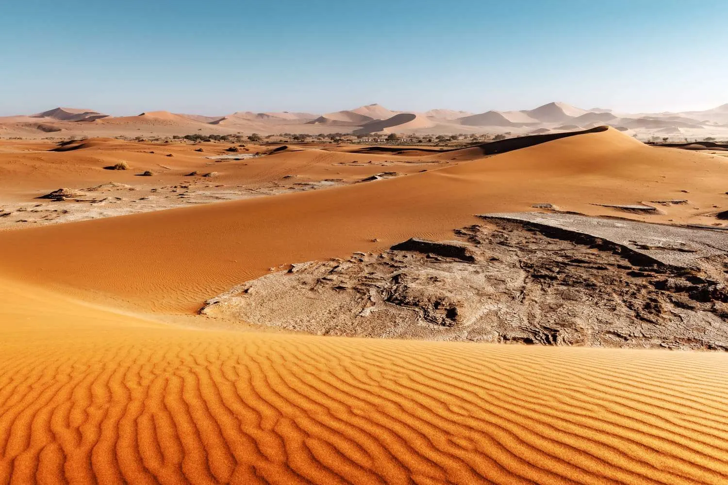 7-day Twyfelfontein cost focus across in Etosha National Park On Namibia Safaris