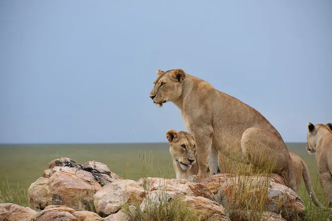 Tanzania