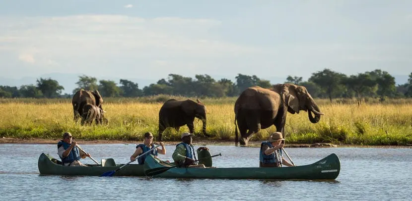 6-day Lake Kariba lion safari on Luxury Zimbabwe Safari and Guided time in Matobo Hills